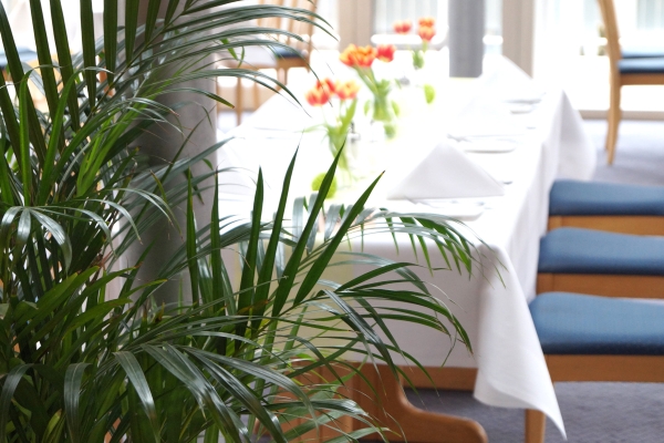 Hotel Alber